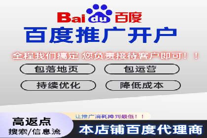 百度推广成本分析：成功案例揭秘